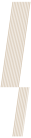 floating_image_home_03_01 https://ristitsch.com/wp-content/uploads/2022/05/floating_image_home_03_01.png